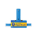 10" Algae  - All Surfaces