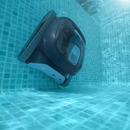 Dolphin Liberty 400 in pool