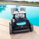 Dolphin Liberty 400 filter basket