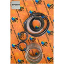 MPV Spring Kit 40mm Praher suits Neptune Sand Filters.