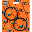 O-Ring for Barrel Union suits 50mm Davey Power Master/Silensor SLL Pumps.