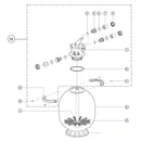 Astral - Filter Clamp Set
