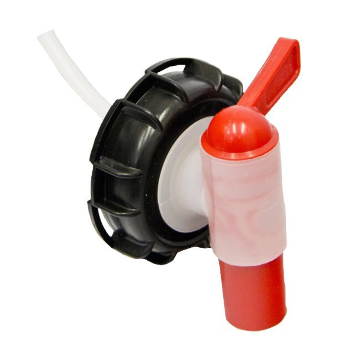 Drum Cap & Tap