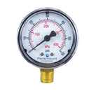 Paramount In-Floor Valve Dome Pressure Gauge (217-05)