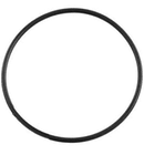 Hurlcon/Astral CTX Pump Lid O Ring
